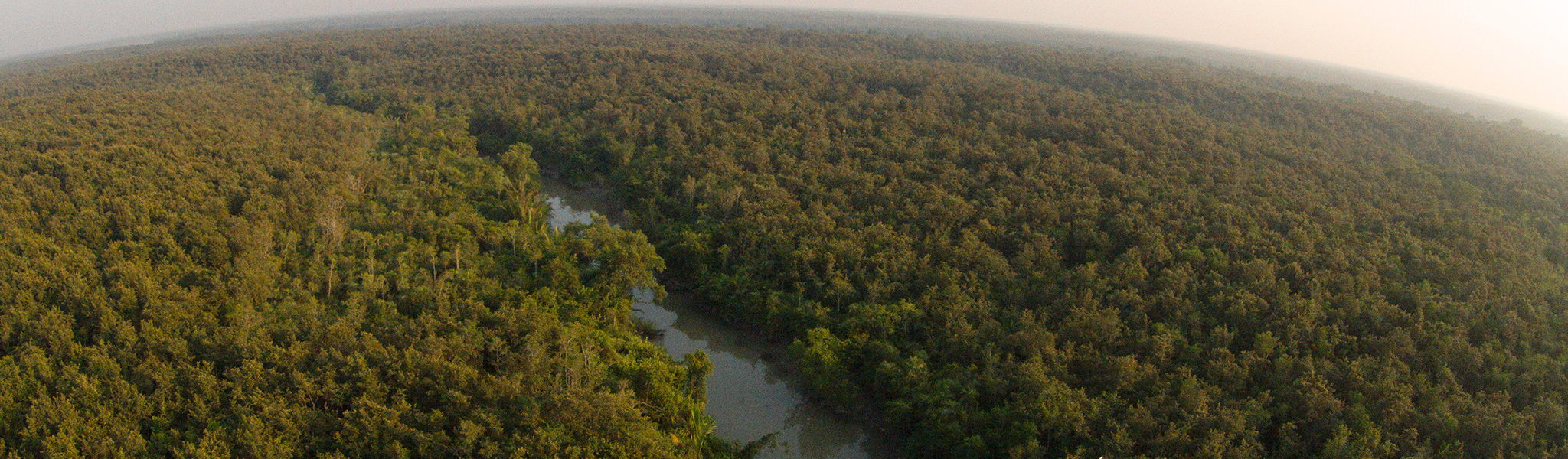 Sundarbans Tour Bangladesh