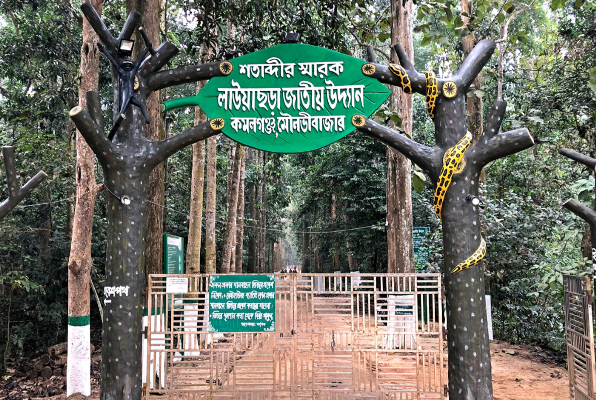Lawachara National Park