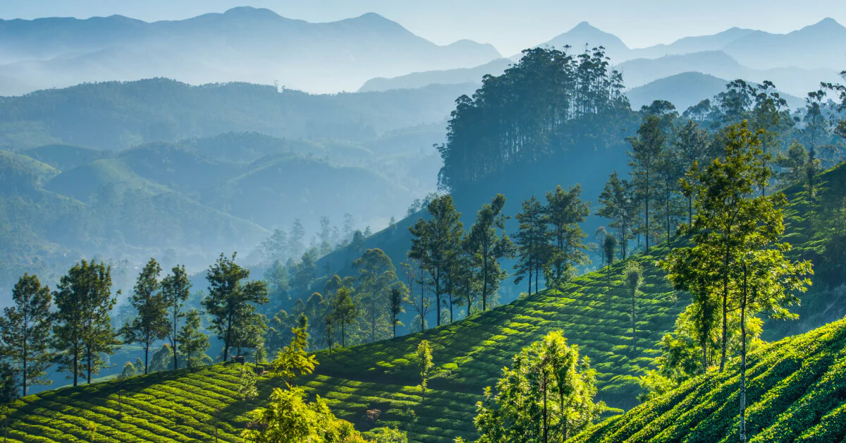 Nilgiri: Bangladesh’s Land of Clouds - A Guide to Exploring